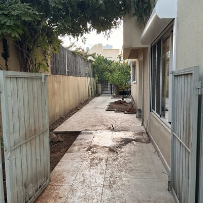 שביל עם ענפים גזומים ועצים בצדדים