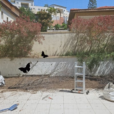 סולם, שקי גזם וכלי גינון בחצר