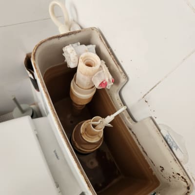 מיכל הדחה פתוח עם חלקים פנימיים של אסלה