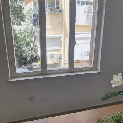 חלון זכוכית עם נוף חיצוני ועציץ על שולחן