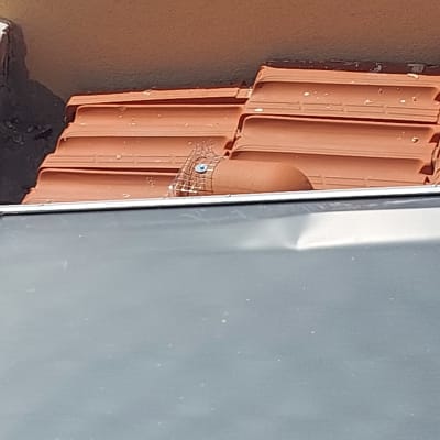 רשת על גג למניעת כניסת יונים