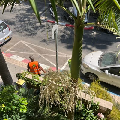 אדם עם אפוד כתום ליד עץ ודשא