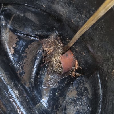 זרם מים נכנס לצינור בתוך מיכל ואקום