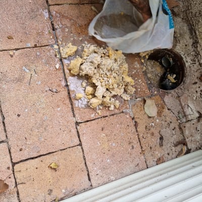 פתח ביוב פתוח עם פסולת על הרצפה