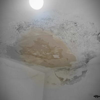 תקרה עם כתמי רטיבות ועובש, נזקי מים