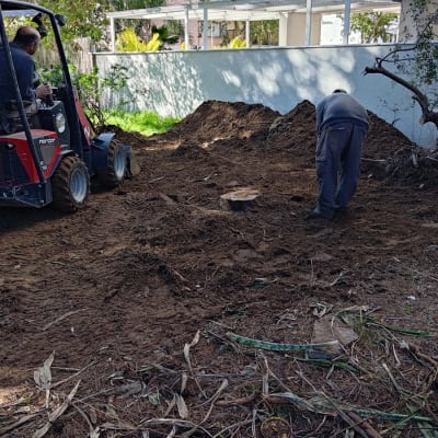 עבודת גינון עם טרקטור קטן ואדם חופר באדמה