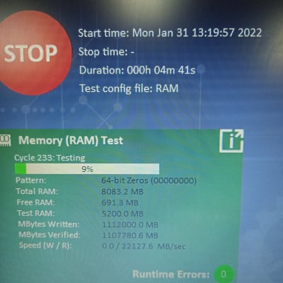 בדיקת זיכרון RAM במחשב, תצוגת נתונים על המסך