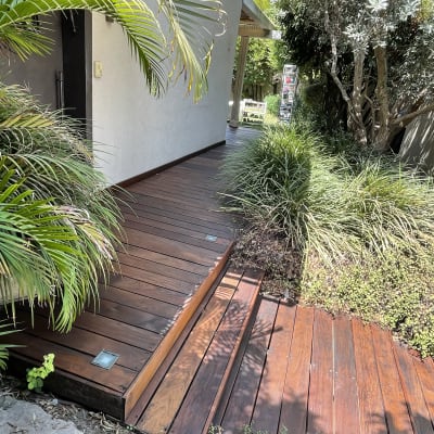 דק עץ עם מדרגות מוקף בצמחייה ירוקה