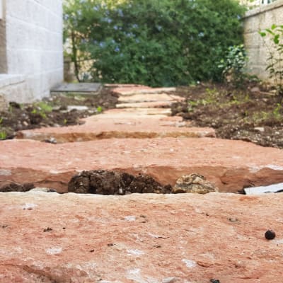 שביל אבנים בגינה עם צמחים מסביב