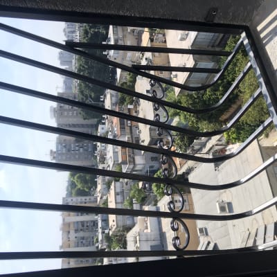 סורגים מתכתיים עם עיטורים נראים במרפסת