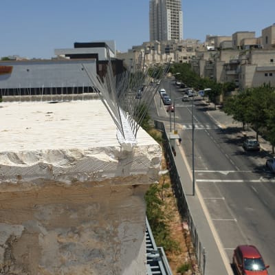 דוקרנים למניעת יונים על קצה גג אבן