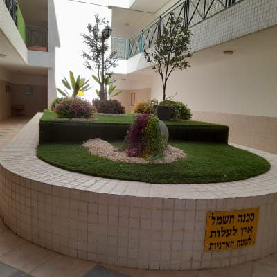 גינה פנימית עם צמחים ועצים קטנים