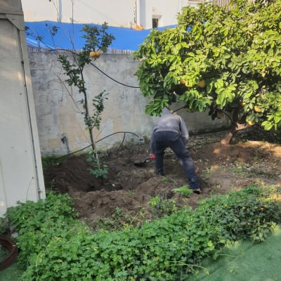 אדם חופר בור בגינה עם את חפירה