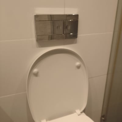 אסלה עם לחצן הדחה כפול על הקיר