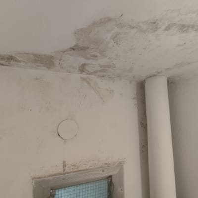 תקרה עם כתמי רטיבות ועובש לפני צביעה