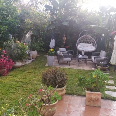 עציצים עם צמחים ופרחים בגינה מטופחת