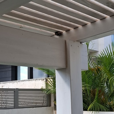 קן צרעות על פרגולה בחצר בית