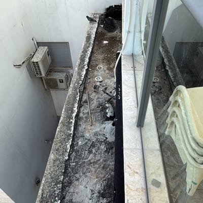 שטח בגובה הבניין המכוסה בצואת יונים ויונה עומדת בקצהו