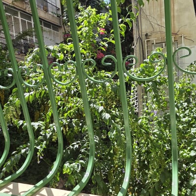 סורגי ברזל ירוקים עם בטן ועיטורים בחלון