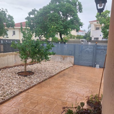 עץ קטן מוקף באבנים, עציצים עם צמחים