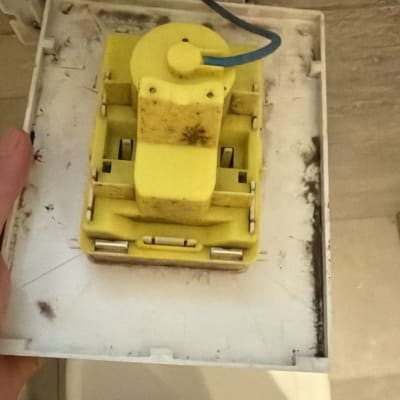 מנגנון צנרת בשירותים עם עובש