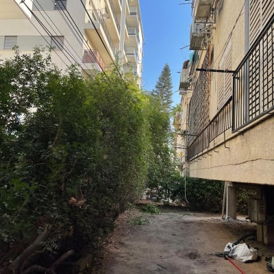 שיחים ירוקים לצד שביל עפר בין בניינים