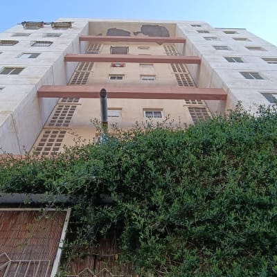 בניין גבוה עם צמחייה בחזית