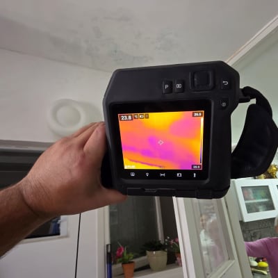 מד חום תרמי מוחזק ביד בחדר עם צמחים