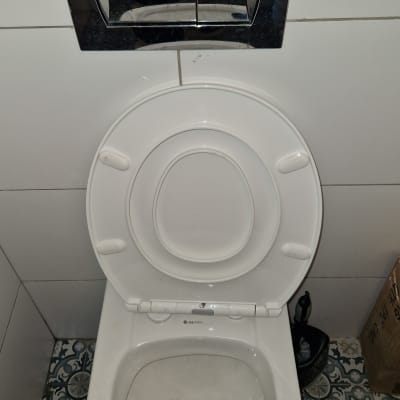 אסלה עם לחצן הדחה כפול ומתקן לניקוי