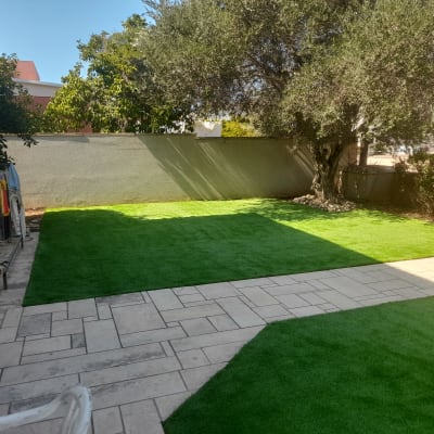 דשא סינתטי בגינה עם עץ גדול בצד