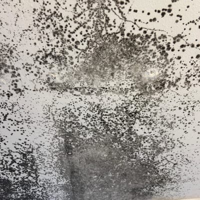 תקרה עם כתמי עובש