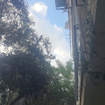 תמונה אינה מציגה עבודה בתחום