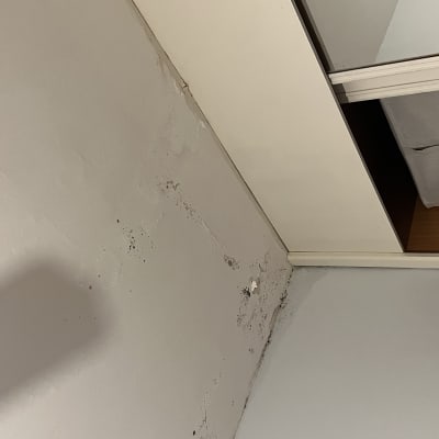 קיר עם סימני רטיבות ועובש ליד ארון פתוח