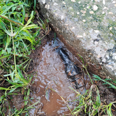 דליפת מים ליד צינור מתחת לאדמה