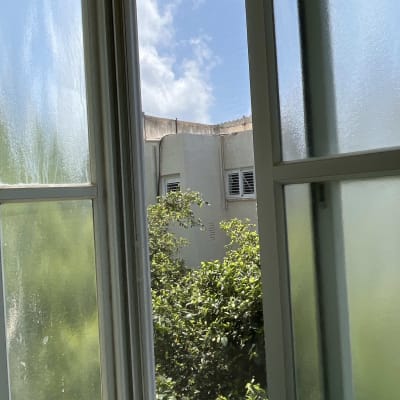 נוף מחלון עם צמחייה ובניין ברקע