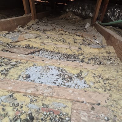 לכלוך ופסולת בעליית גג, זקוק לניקוי