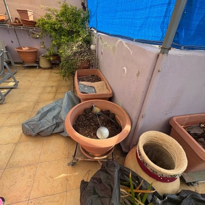 עציצים וכלי גינון במרפסת עם צמחים ויריעות פלסטיק כחולות