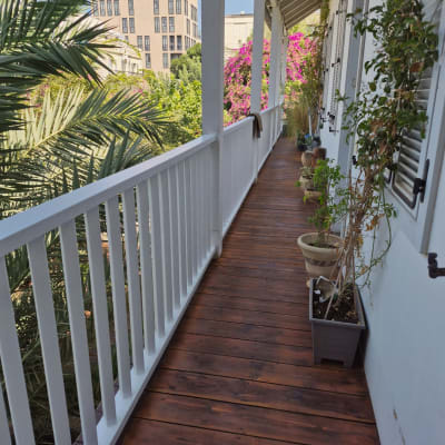 מרפסת עץ עם צמחים ועצים ברקע