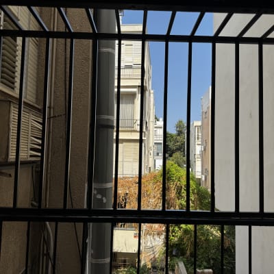 סורגים על חלון עם נוף לבניינים ועצים