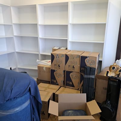 מדפים לבנים ריקים, קופסאות קרטון, מאוורר עומד, פסל אריה