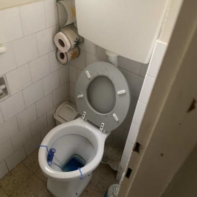 אסלה עם חומר ניקוי כחול ומברשת שירותים