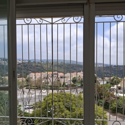 נוף מבעד לחלון עם סורגים מעוצבים