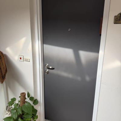 דלת אפורה עם ידית כסופה וצמח ליד