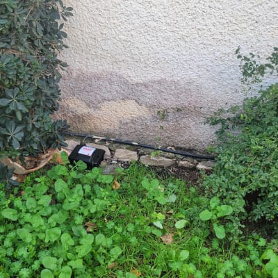 תיבת הדברה ליד קיר עם צמחייה