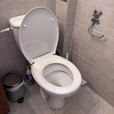 אסלה, פח אשפה קטן, בקבוק חומר ניקוי, מתלה מגבות בצורת לטאה