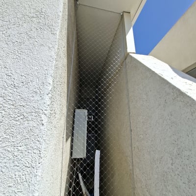 רשת למניעת כניסת יונים בין קירות חיצוניים