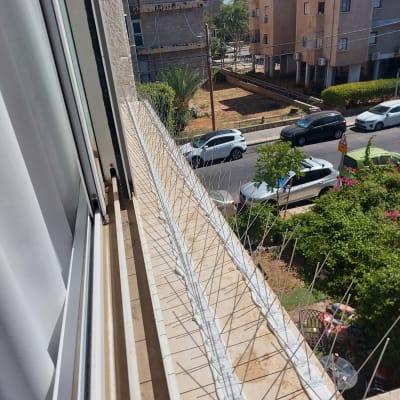 דוקרנים למניעת יונים מותקנים על אדן חלון