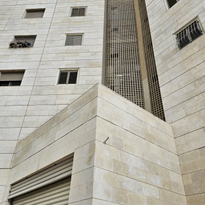 בניין עם רשתות למניעת כניסת יונים