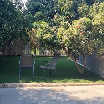 שני כיסאות בגינה עם עצים ודשא