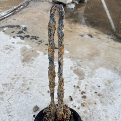 חלק חשמלי עם חלודה על גג